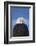 Bald Eagle, Homer, Alaska, USA-Keren Su-Framed Photographic Print