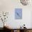 Bald Eagle in Flight, Upside Down-Ken Archer-Stretched Canvas displayed on a wall