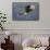 Bald Eagle in Flight-Ken Archer-Framed Stretched Canvas displayed on a wall