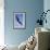 Bald Eagle in Flight-null-Framed Photographic Print displayed on a wall