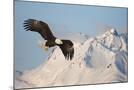 Wood Mount