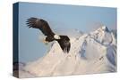 Stretched Canvas