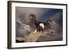 Bald Eagle Landing on Snag-W. Perry Conway-Framed Photographic Print