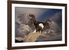 Bald Eagle Landing on Snag-W. Perry Conway-Framed Photographic Print