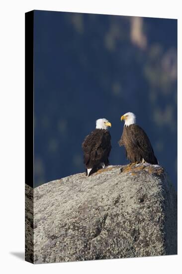 Bald Eagle Pair on Boulder-Ken Archer-Stretched Canvas