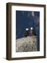 Bald Eagle Pair on Boulder-Ken Archer-Framed Photographic Print