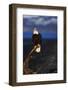 Bald Eagle Perched on a Tree-W. Perry Conway-Framed Photographic Print