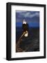 Bald Eagle Perched on a Tree-W. Perry Conway-Framed Photographic Print