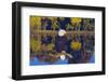 Bald Eagle Perched on Branch-W. Perry Conway-Framed Photographic Print