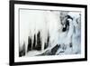 Bald eagle perched on rocks at frozen waterfall. Alaska, USA-Danny Green-Framed Photographic Print