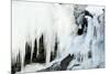 Bald eagle perched on rocks at frozen waterfall. Alaska, USA-Danny Green-Mounted Photographic Print