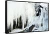Bald eagle perched on rocks at frozen waterfall. Alaska, USA-Danny Green-Framed Stretched Canvas