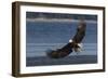 Bald Eagle, Preparing to strike-Ken Archer-Framed Photographic Print