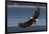 Bald Eagle, Preparing to strike-Ken Archer-Framed Photographic Print