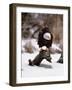 Bald Eagle Preserve, Chilkat, Alaska, USA-Dee Ann Pederson-Framed Photographic Print