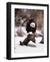 Bald Eagle Preserve, Chilkat, Alaska, USA-Dee Ann Pederson-Framed Photographic Print