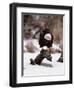 Bald Eagle Preserve, Chilkat, Alaska, USA-Dee Ann Pederson-Framed Photographic Print