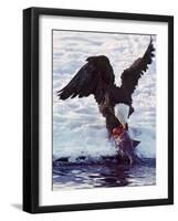 Bald Eagle Pulling a Salmon From the Chilkat River in Alaska, USA-Charles Sleicher-Framed Photographic Print