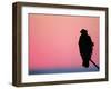 Bald Eagle Resting on Limb, Homer, Alaska, USA-Arthur Morris-Framed Premium Photographic Print