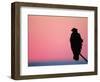 Bald Eagle Resting on Limb, Homer, Alaska, USA-Arthur Morris-Framed Photographic Print