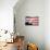 Bald Eagle Squawking with American Flag-W. Perry Conway-Stretched Canvas displayed on a wall