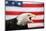 Bald Eagle Squawking with American Flag-W. Perry Conway-Mounted Photographic Print