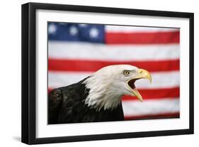 Bald Eagle Squawking with American Flag-W. Perry Conway-Framed Photographic Print