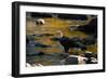 Bald Eagle Waits on a Rock in the Platte River-W. Perry Conway-Framed Photographic Print