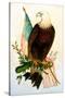 Bald Eagle with Flag-American School-Stretched Canvas