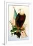 Bald Eagle with Flag-American School-Framed Giclee Print