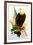 Bald Eagle with Flag-American School-Framed Giclee Print