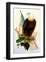 Bald Eagle with Flag-American School-Framed Giclee Print