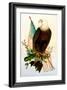 Bald Eagle with Flag-American School-Framed Giclee Print