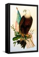 Bald Eagle with Flag-American School-Framed Stretched Canvas