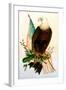 Bald Eagle with Flag-American School-Framed Giclee Print