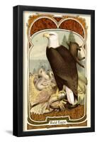 Bald Eagle-null-Framed Poster