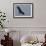 Bald Eagle-Ken Archer-Framed Photographic Print displayed on a wall