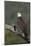 Bald Eagle-Ken Archer-Mounted Photographic Print