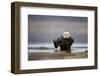 Bald Eagle-Milan Zygmunt-Framed Photographic Print