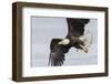 Bald Eagle-Ken Archer-Framed Photographic Print