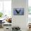 Bald Eagle-Ken Archer-Framed Stretched Canvas displayed on a wall