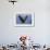 Bald Eagle-Ken Archer-Framed Photographic Print displayed on a wall