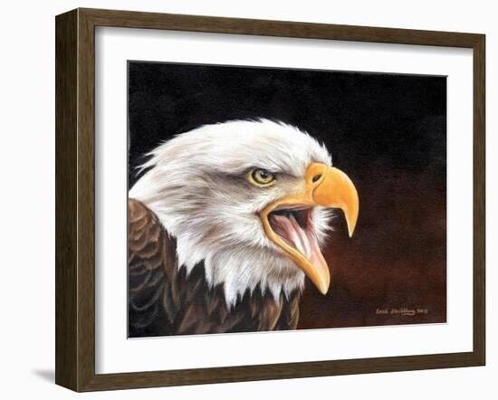 Bald Eagle-Sarah Stribbling-Framed Art Print