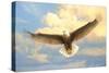 Bald Eagle-Joh Naito-Stretched Canvas