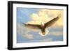 Bald Eagle-Joh Naito-Framed Giclee Print