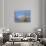 Bald Eagles in the Bitterroot Valley near Hamilton, Montana, USA-Chuck Haney-Photographic Print displayed on a wall