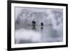 Bald Eagles on the river in the forest covered with snow, Haines, Alaska, USA-Keren Su-Framed Photographic Print