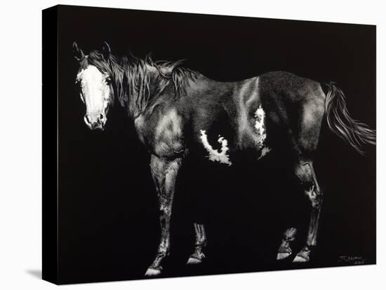 Bald-Faced Broodmare-Julie Chapman-Stretched Canvas