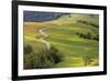 Bald Hills Redwoods National Park-Donald Paulson-Framed Giclee Print