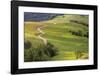 Bald Hills Redwoods National Park-Donald Paulson-Framed Giclee Print